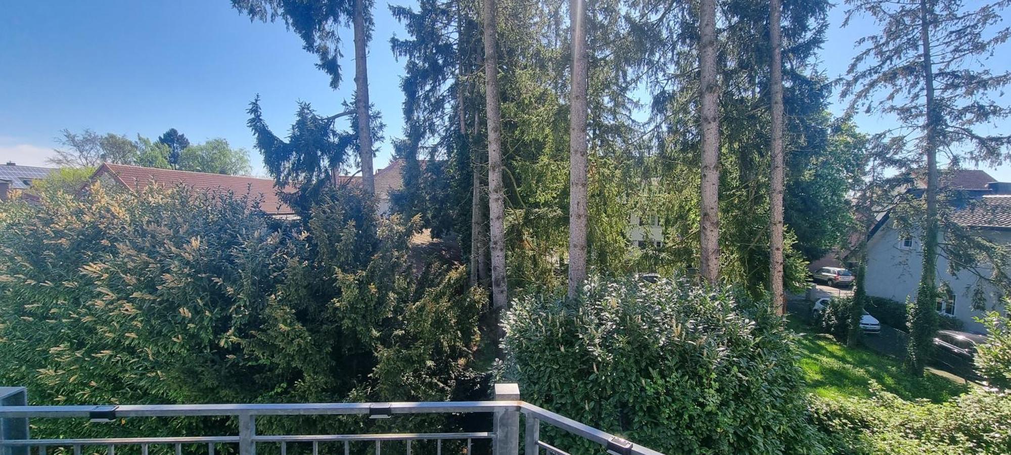 Ferienwohnung Am Kurwald In Bad Lippspringe Eksteriør bilde